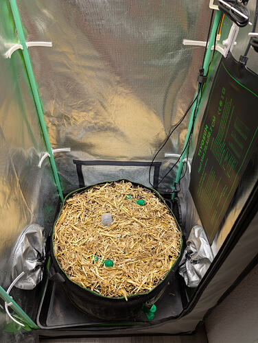 Growreport Bild 3