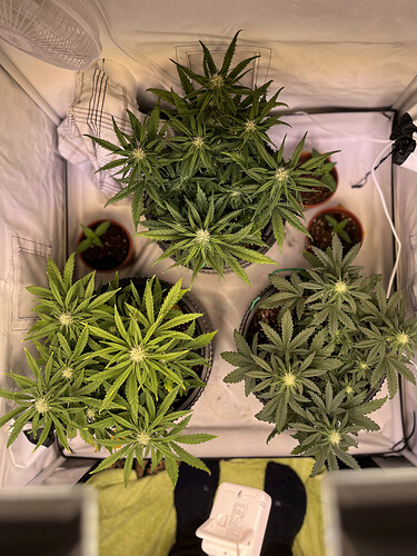 Growreport Bild 11