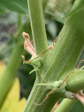 Growreport Bild 14