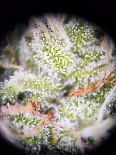 Growreport Bild 10