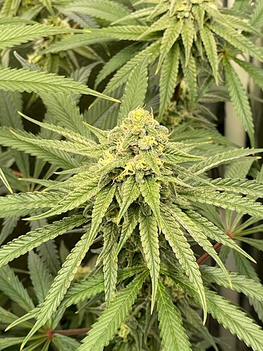 Growreport Bild 18