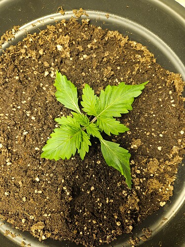 Growreport Bild 21