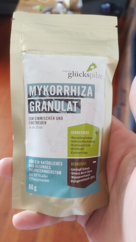 Growreport Bild 5