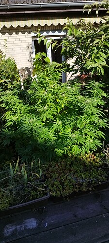 Growreport Bild 16
