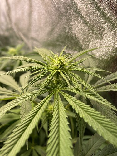 Growreport Bild 20