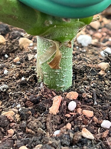 Growreport Bild 20