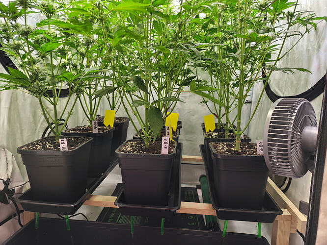Growreport Bild 2
