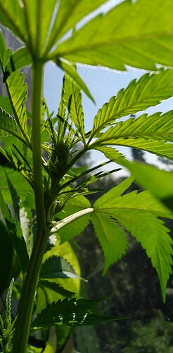 Growreport Bild 9