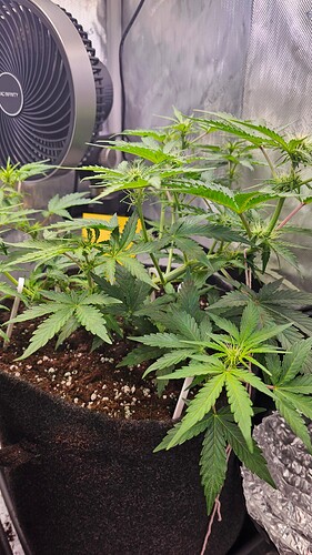 Growreport Bild 17