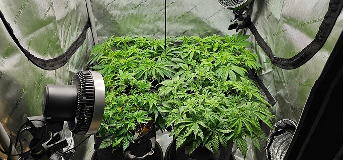 Growreport Bild 13