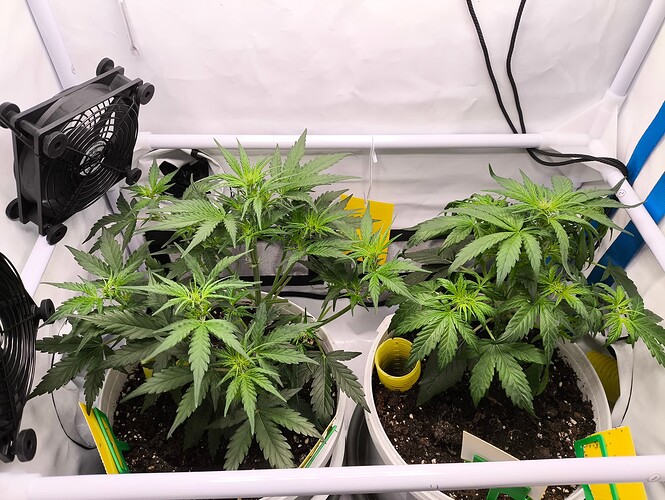 Growreport Bild 6