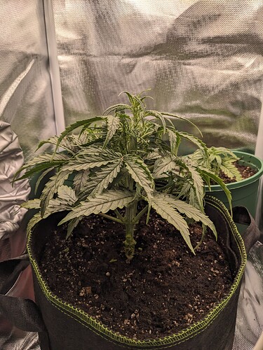 PXL_20240515_005829266