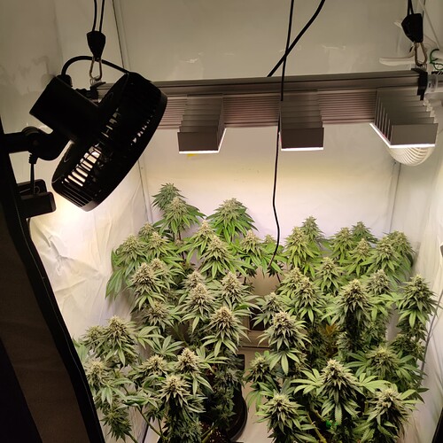 Growreport Bild 15