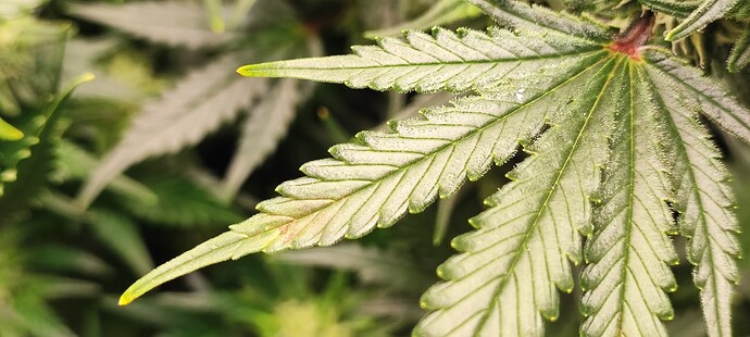 Growreport Bild 15