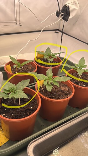 71D28170-2B68-4997-9C7E-3F51788A3316