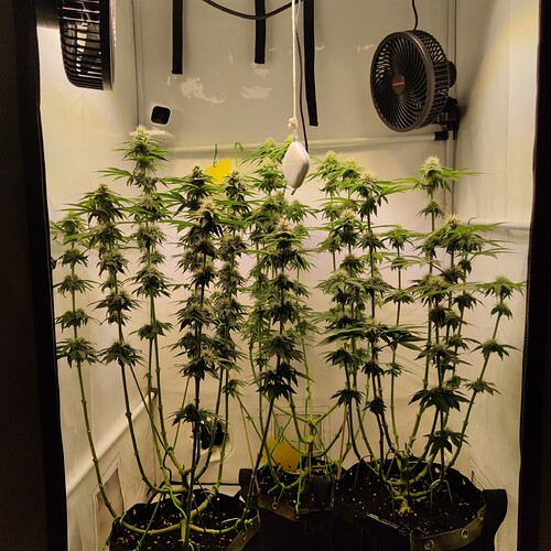Growreport Bild 14