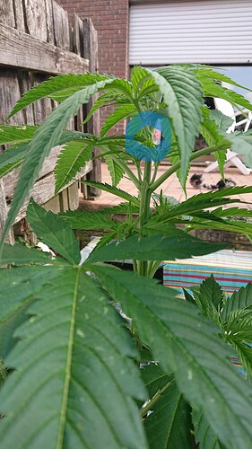 Growreport Bild 11