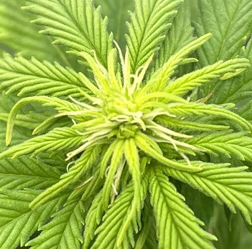 Growreport Bild 2