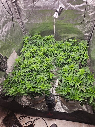 Growreport Bild 2