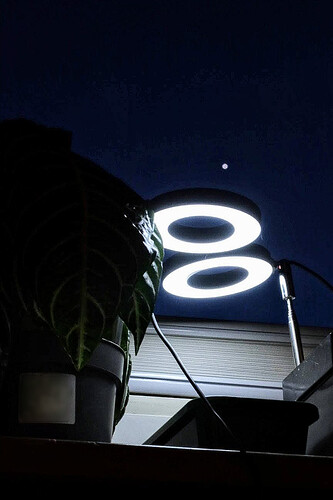 DW-00a-