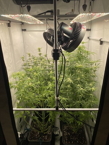 Growreport Bild 7