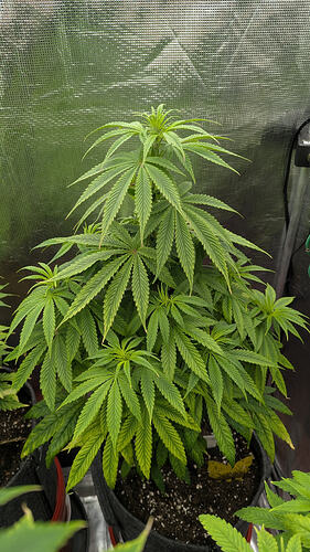 Growreport Bild 10
