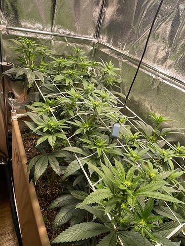 Growreport Bild 9