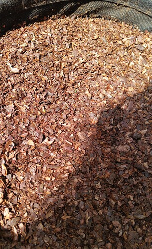 IMG_20250426_125516_678