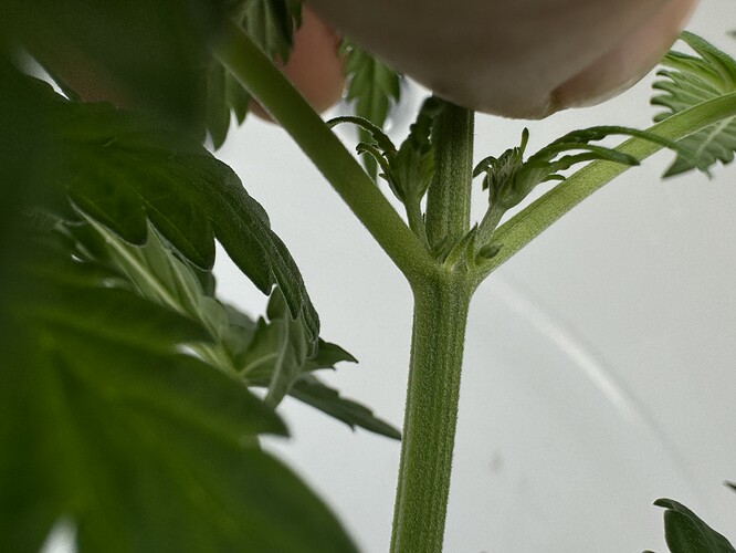 Growreport Bild 38