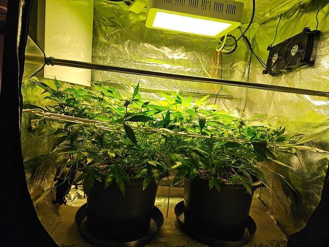 Growreport Bild 5