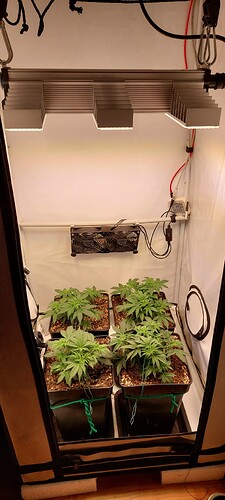 Growreport Bild 5