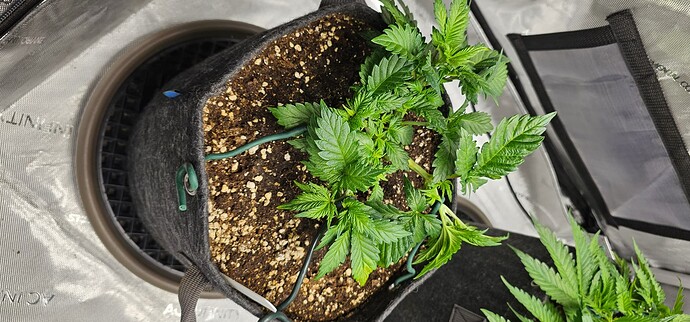 Growreport Bild 14