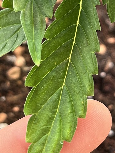 Growreport Bild 22