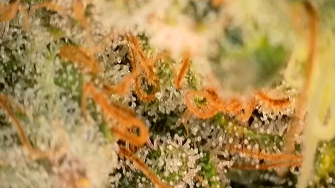 2024-08-18-08-22-32-322