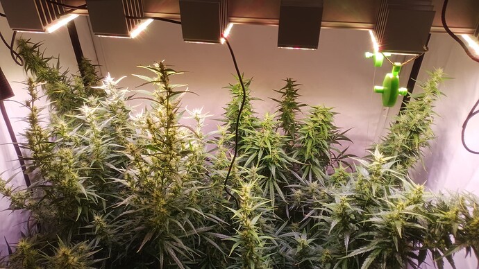 Growreport Bild 9