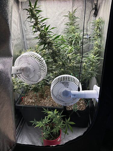 Growreport Bild 3