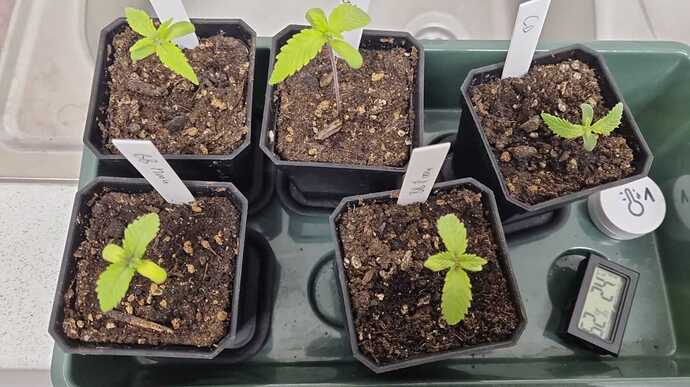 WhatsApp Image 2024-10-30 at 18.08.27