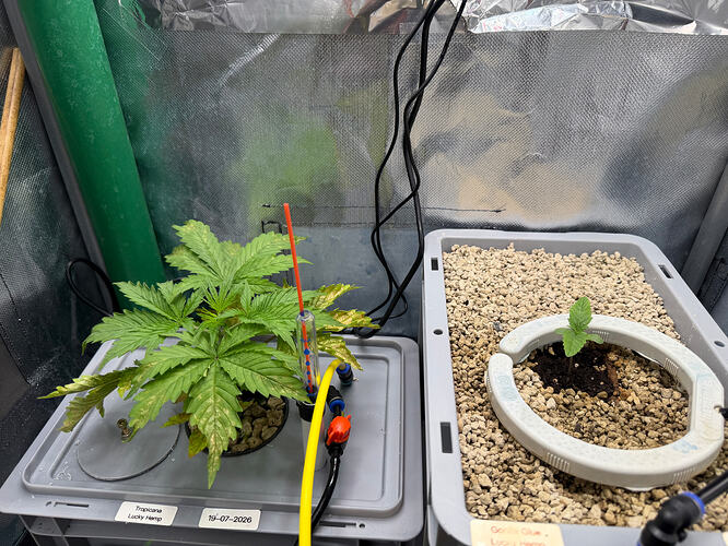 Growreport Bild 7