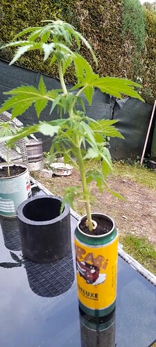 Growreport Bild 11