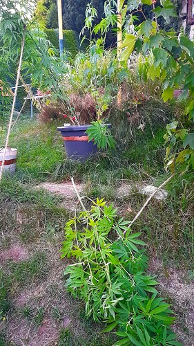 Growreport Bild 7