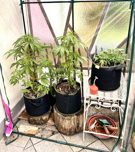 Growreport Bild 4
