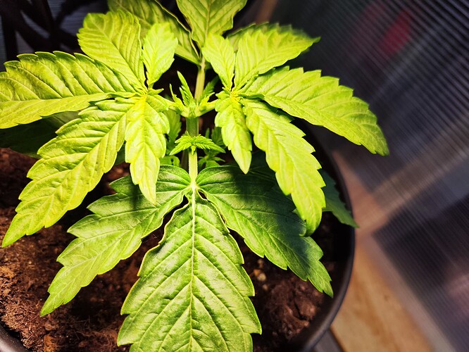 Growreport Bild 10