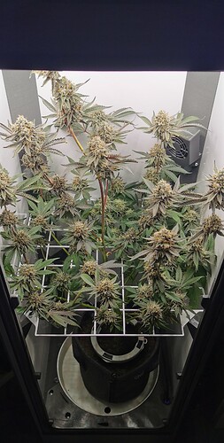Growreport Bild 2