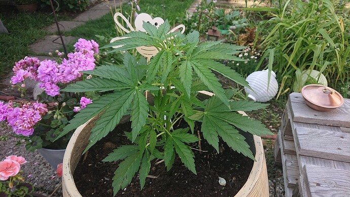 Growreport Bild 10
