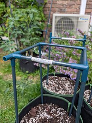 PXL_20250530_101614753