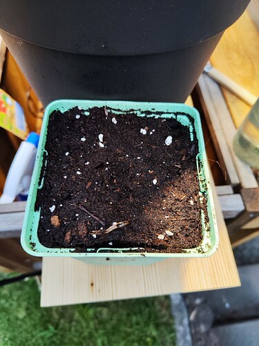 Growreport Bild 24
