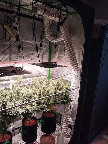 Growreport Bild 11