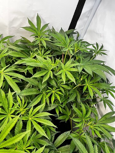 Growreport Bild 8