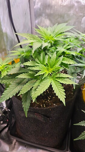 Growreport Bild 14