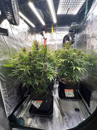 Growreport Bild 12
